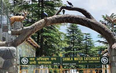 Shimla Manali Tour